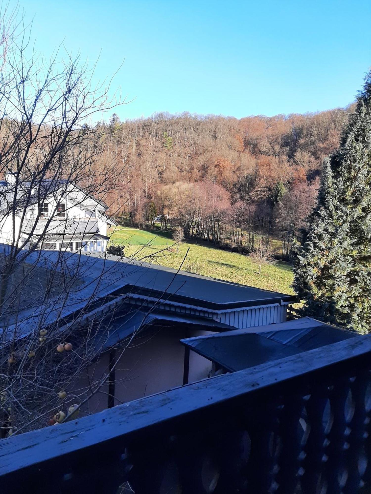 Ferienwohnung Bergblick Hallenberg Esterno foto